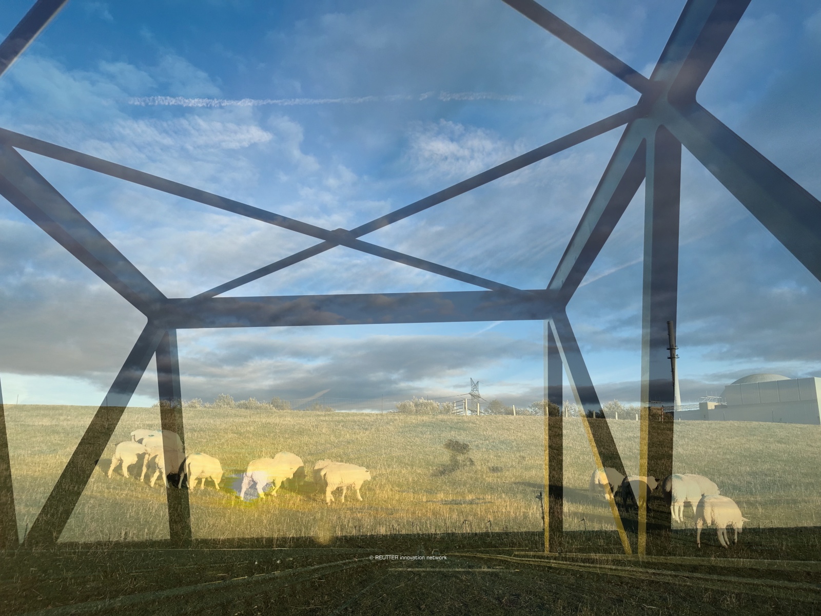 nNLI– Natur › Leben › Innovation