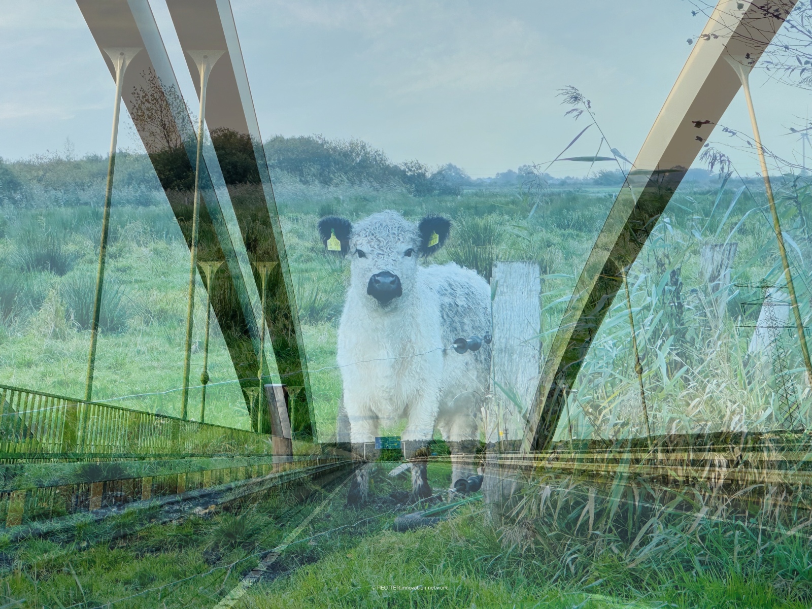 nNLI – Natur › Leben › Innovation