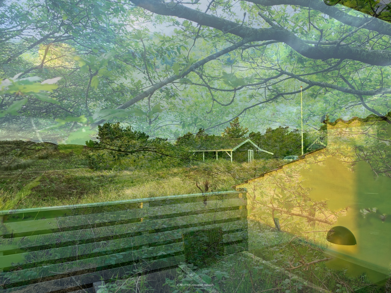 nNLI – Natur › Leben › Innovation