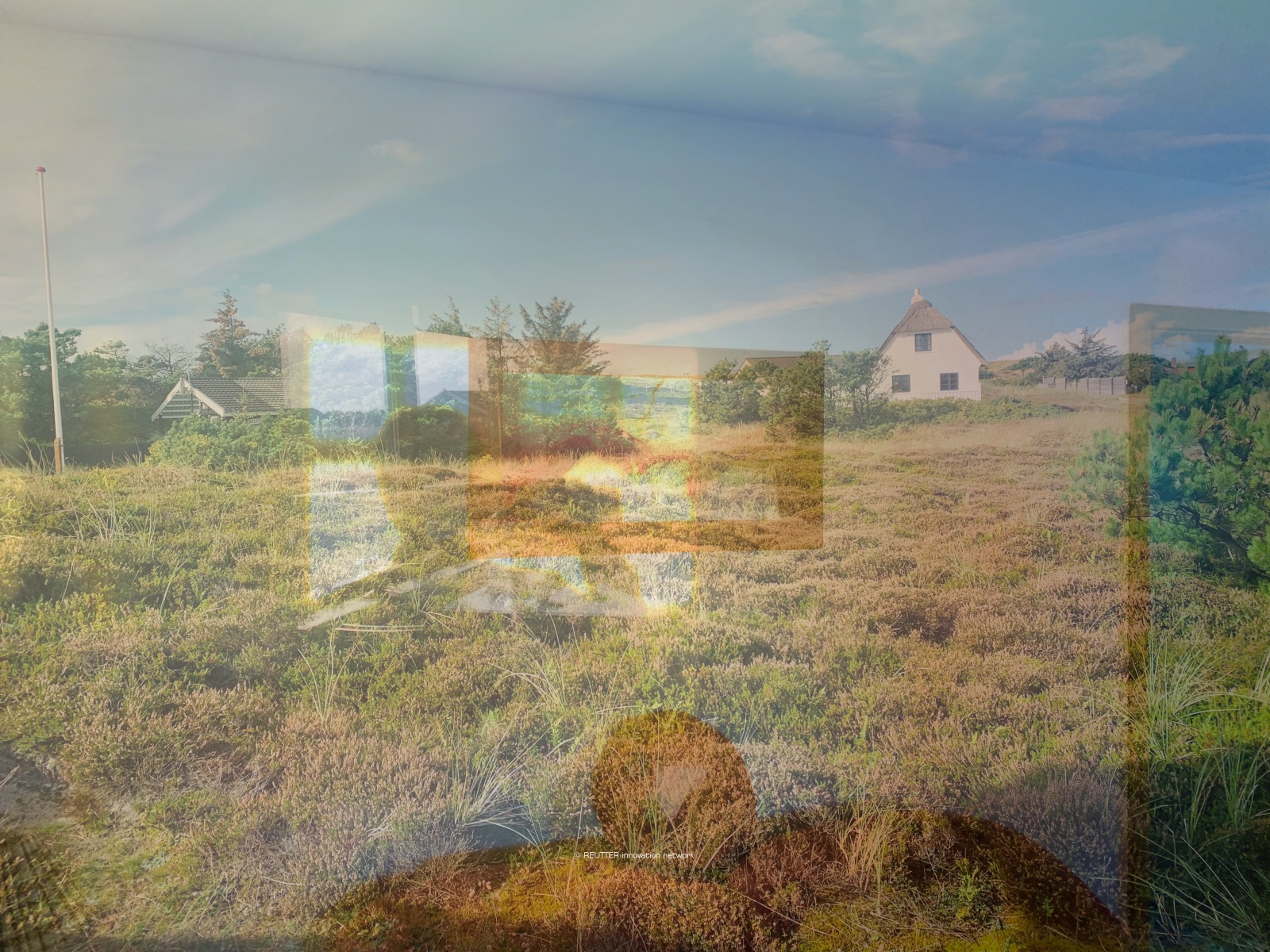 nNLI – Natur › Leben › Innovation