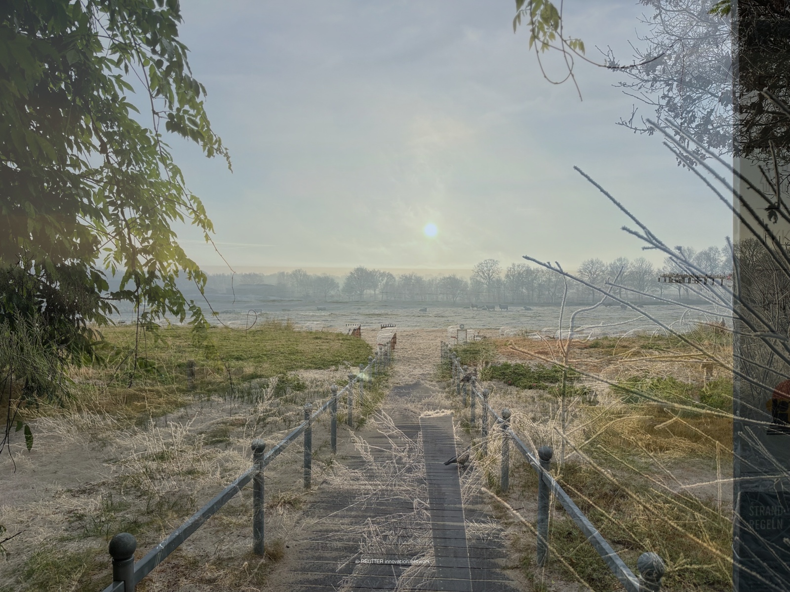 nNLI – Natur › Leben › Innovation
