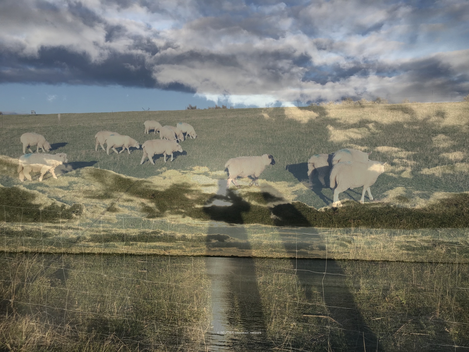 nNLI – Natur › Leben › Innovation