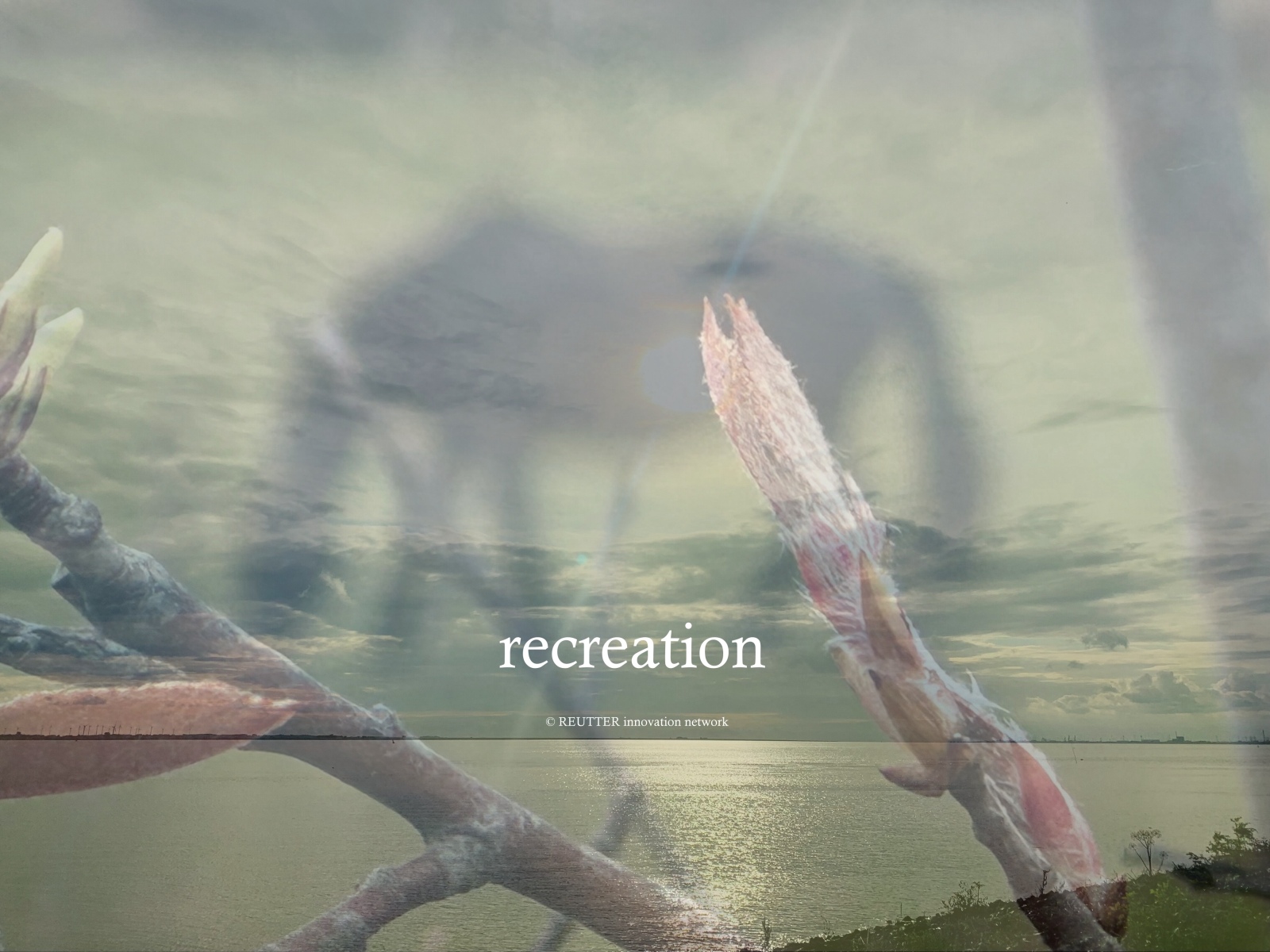 nNLI – Natur › Leben › Innovation