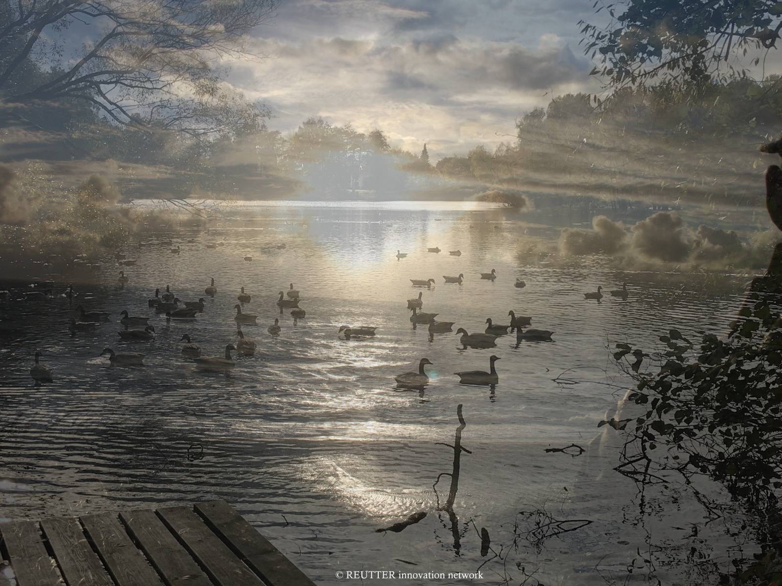 nNLI – Natur › Leben › Innovation